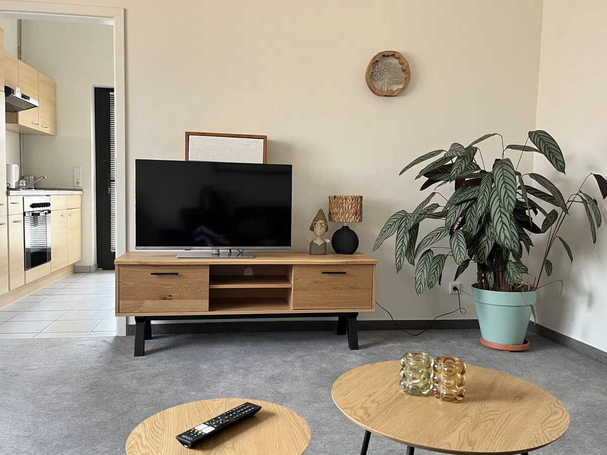 Wohnzimmer - Schöne Ferienwohnung Ochtrup